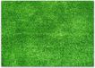 Merkloos / Sans marque Tafelmatten - Papieren placemats - Tafeldecoratie - Unieke graslook - 100 stuks DIN A3 - Groen