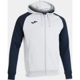Joma Hooded sweatshirt Joma Academy IV