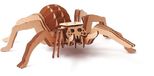Graine Creative Houten Speelgoed 3D Spin Model Bouwpakket