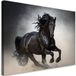 Tableau sur toile Cheval noir au galop Nature 30x20