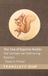 The Libri GmbH The Tale of Squirrel Nutkin / Die Verhaal van Eekhoring Neutkin Paperback