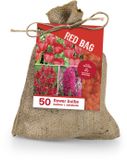Bloomique The Red Bag - Mix van 50 - Rode Mix - Tulpen, Hyacinten, Ixia - Bloembollen