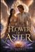 Flower of Aster