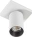 KS Verlichting Mila Plafondlamp Spot Wit Aluminium GU10 Dimbare Opbouwspot