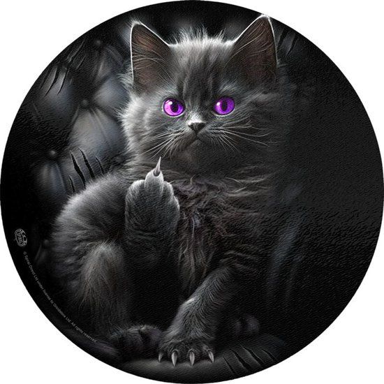 Spiral Cattitude Unisex Snijplank - meerkleurig