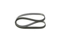 BOSCH Keilrippenriemen 1987946248
