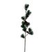Roberts Collection Ceder Spray Denenappel 66 cm Gris