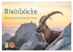 Steinböcke Calvendo Steinböcke - Eindrückliche Könige der Alpen (Wandkalender 2027 DIN A3 quer)