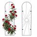Merkloos / Sans marque Relaxdays Planten Klimrek - Set van 2 - 140 x 38 cm - Metaal - Zwart