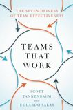 Teams That Work: The Seven Drivers of Team Effectiveness
