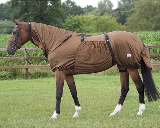 QHP Eczeemdeken Bruin - 145 - Vliegendeken voor Paard