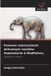 Ponowne OmniScriptum SRL Ponowne wykorzystanie obliczonych wyników dopasowania w MapReduce Paperback