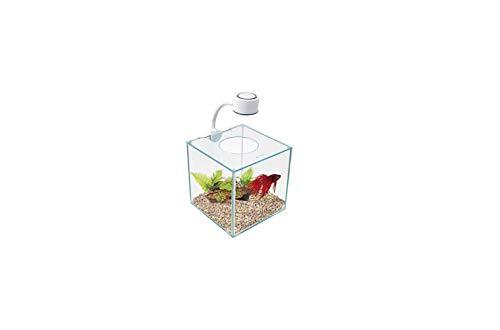 Marina Betta Kit Aquarium, kubusvorm, glas, met LED-lamp, 3,4 l