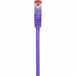 Renkforce RF-4724912 Netwerkkabel Violet 0,15 m Cat6 S/FTP (S-STP) Rond