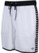 Arena Zwemshort Icons Team Stripe Wit Mannen XS