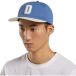 Dickies Casquette trucker Latty Dad
