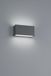 TRIO TRENT - Wandlamp - Antraciet - incl. 1x SMD 9 W - Voetschakelaar - Buitenverlichting - IP65