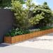 Maison Exclusive - Jardinière surélevée 1152x50x36 cm, finition acier Corten