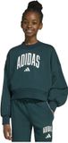 Adidas Seasonals Essentials Collegiate Typography Sweatshirt Vert 7-8 Ans Fille