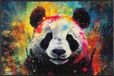 Kleen-Tex Wash+Dry Design Wasbare Deurmat - Pandy McPanda - 50 x 75cm