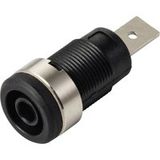 TRU COMPONENTS MP-32 schwarz Prise encastrée de sécurité femelle, droit Ø de la broche: 4 mm noir 1 pc(s) Bulk