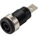 TRU COMPONENTS MP-32 schwarz Prise encastrée de sécurité femelle, droit Ø de la broche: 4 mm noir 1 pc(s) Bulk