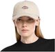 Dickies Hardwick Corduroy Pet Beige