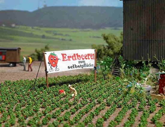 Busch & Müller ERDBEEREN H0