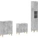 Prolenta Maison Exclusive - Ensemble de meubles de salle de bain 3 pièces Delft Gris Béton