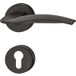 Häfele Garniture de poignée de porte LDH 3320 Poignée de porte noir mat, PZ - cylindre profilé