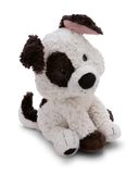 NICI Knuffeldier hond, 20 cm, wit - 62137