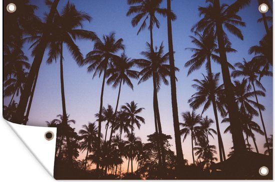 GreatGardenPosters Tuinposter Palmboom Zomer 120x80cm - Tuindoek voor Buiten