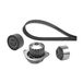 Valeo Waterpomp en Distributieriem Set 614656 | Compatibel met: CITROËN SAXO, PEUGEOT 106 II
