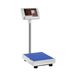 Steinberg Platformweegschaal - 60 kg / 10 g - 40 x 30 cm