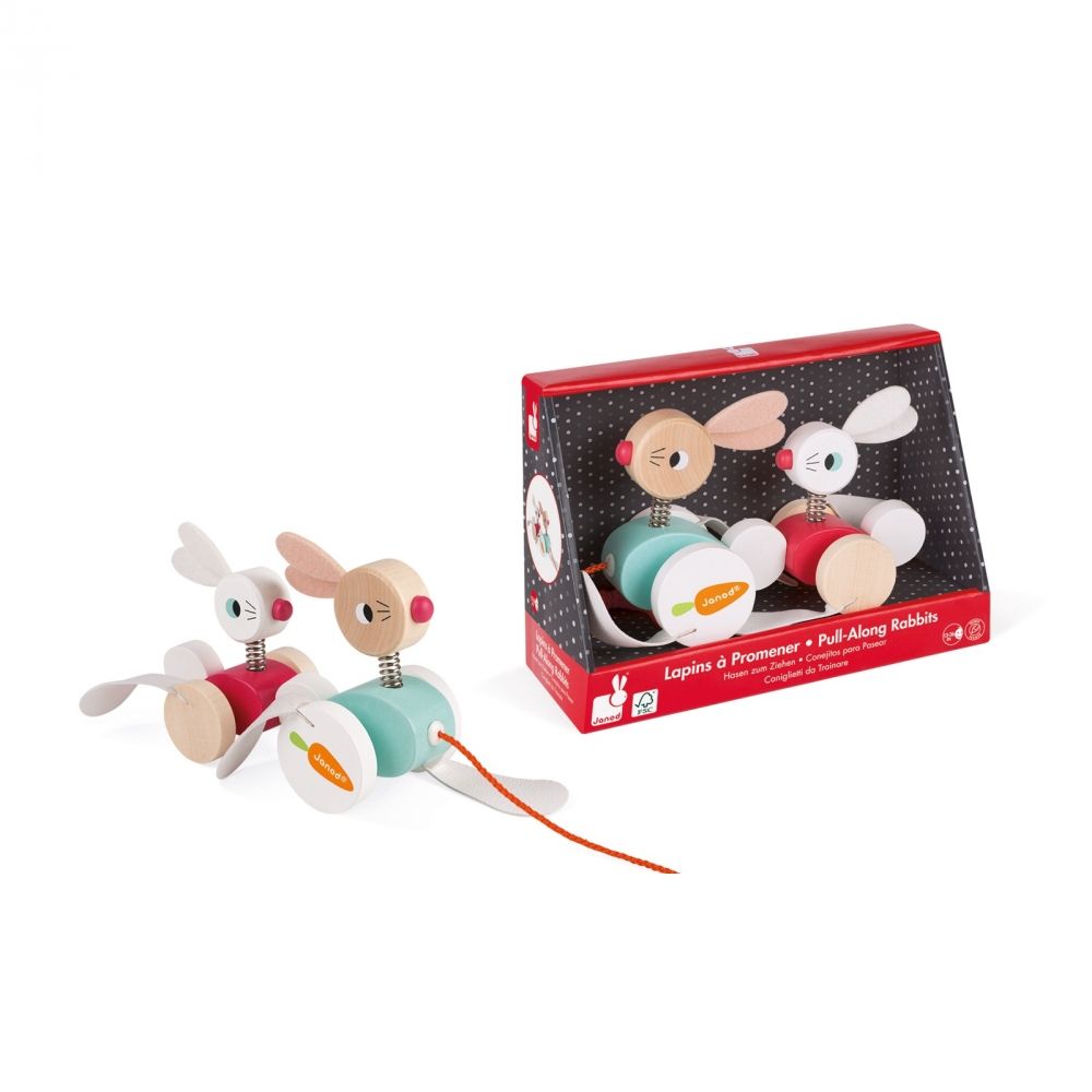 Janod J08207 Trekspeelgoed - multi