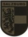 Clawgear patch textile Salzburg Shield ral7013