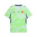 PUMA Tricot 'SFV Away' enziaan / appel / lichtgroen / wit