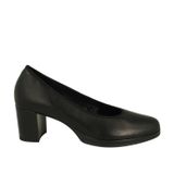 Ara 12-22901 Pumps