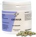 Holisan Ostayur 120 Capsules