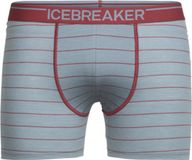 Icebreaker Anatomica Zwemboxers Heren, grijs Maat L
