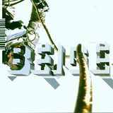 Beige - I Don't Either