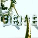 Beige - I Don't Either