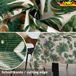 ANRO Tafelkleed Jungle bladeren Meerkleurig 240x140cm