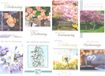 knutselkraam 20 Enkele Condoleance Wenskaartjes - Met Oprechte Deelneming - Assorti Nr 400