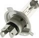 Ampoule halogène HS1 PX43t, 12 V, 35/35 W, pour Kymco Mxer 50