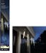 Lumineo IJspegel verlichting LED Warm Wit - lengte 250 cm - 76 lichtjes - Voor buiten of Binnen