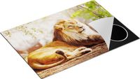 Chefcare Inductie Beschermer Leeuw - 75x50 cm - Multicolor - Inductie Mat