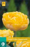 Jub Tulipa Yellow Pompenette bloembollen 7 bollen Tulp JUB