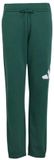 Adidas Essentials Big Logo French Terry Joggers Groen 15-16 Years Kinderen