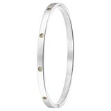 Lucardi Dames Armband bangle geboortestenen - Staal - Zilverkleurig